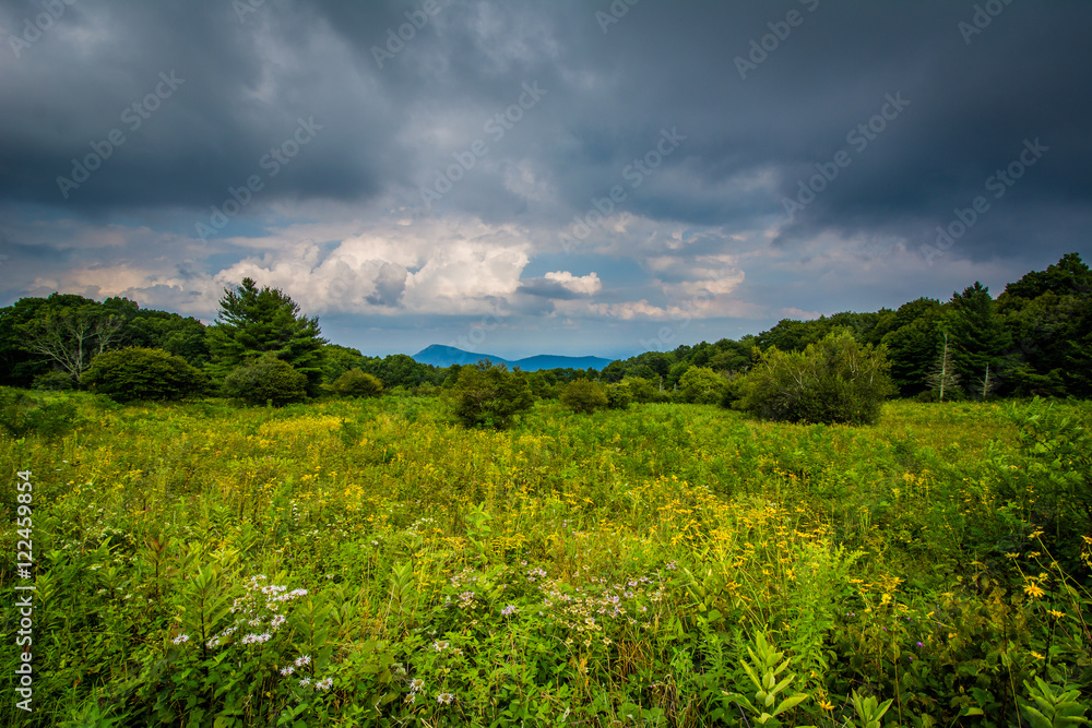 Meadow at Old Rag Overlook, on Skyline Drive in Shenandoah Natio