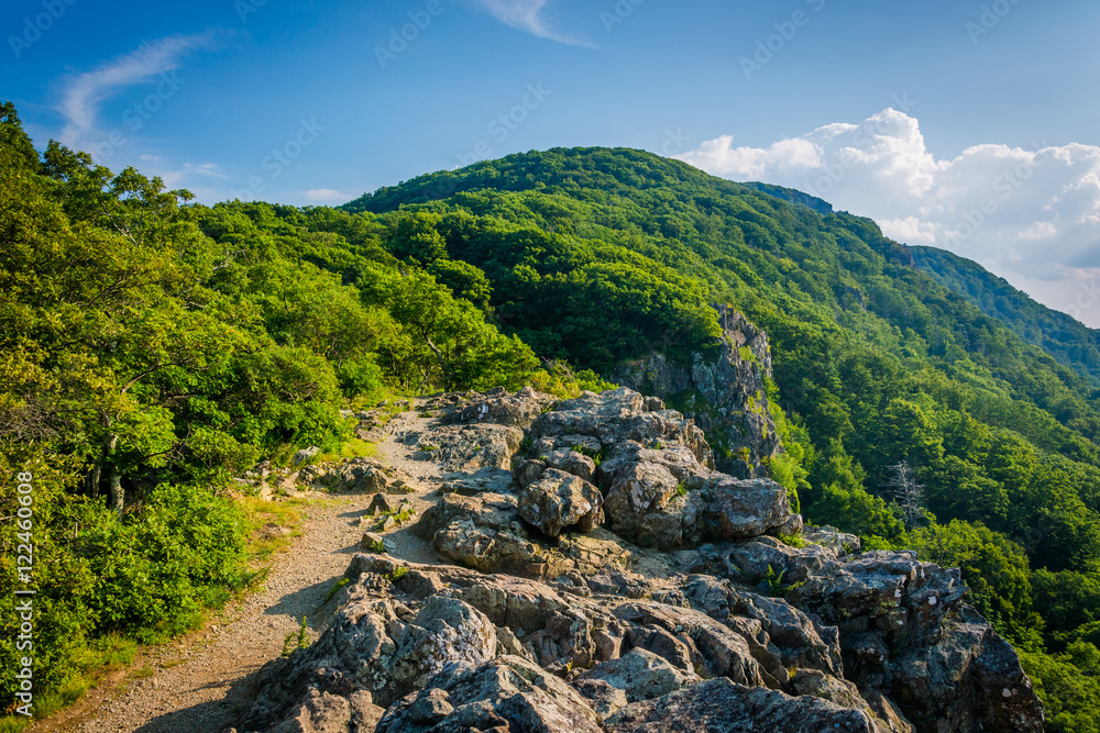 The Appalachian Trail on the summit of Little Stony Man Cliffs, The Appalachian Trail on the summit of Little Stony Man Cliffs,