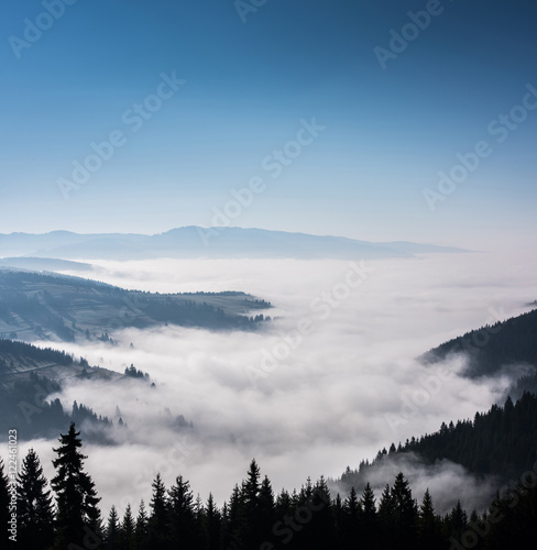 Foggy Landscape in Mountains. Beautiful morning landscape with trees in the fog. © krstrbrt