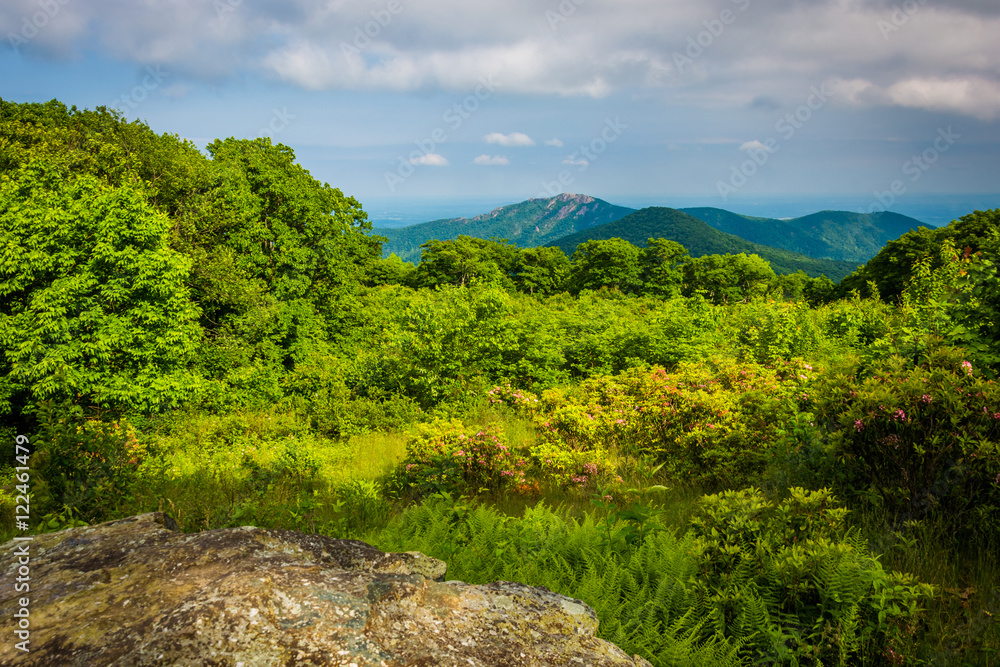 View of Old Rag from Thoroughfare Overlook, on Skyline Drive in
