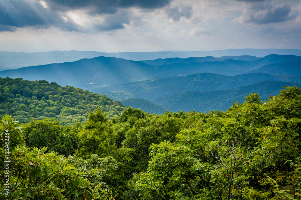 Obraz premium View of the Blue Ridge Mountains from Bearfence Mountain, in She
