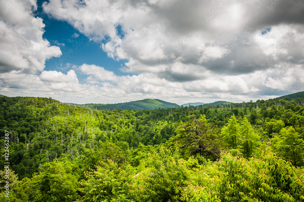 View of the Blue Ridge Mountains from Skyline Drive, in Shenando View of the Blue Ridge Mountains from Skyline Drive, in Shenando