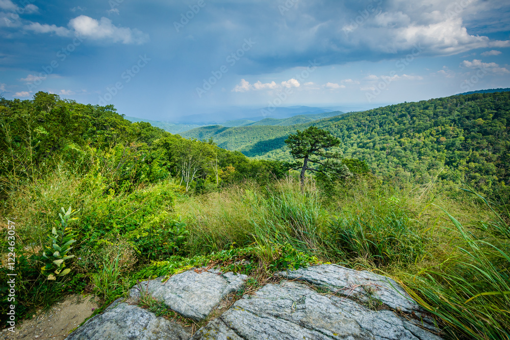 View of the Blue Ridge Mountains from Skyline Drive in Shenandoa