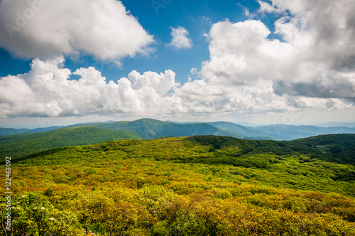 View of the Blue Ridge Mountains from Stony Man Mountain  in She