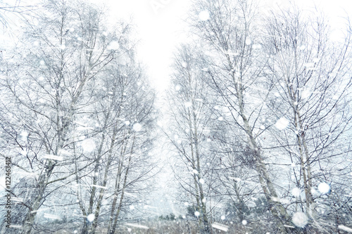Snow rural frosty morning © ambrozinio