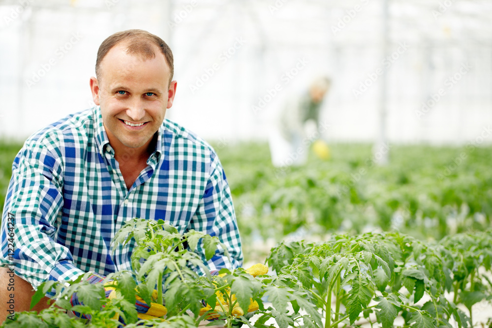 Smiling man in greenhouse looking at camera Smiling man in greenhouse looking at camera