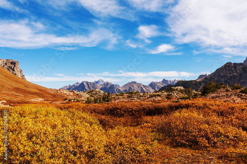 Autumn in Grand Teton