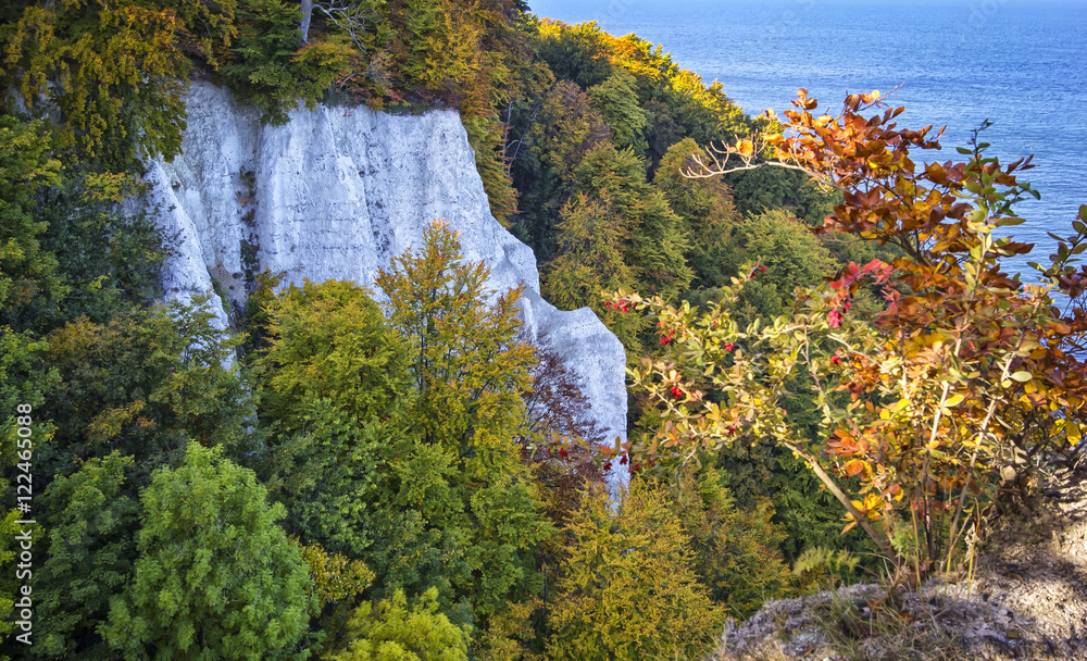 View to a cliff of Limestone