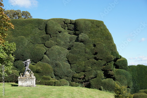 Flowers in gardens of Powis castle in Wales photo