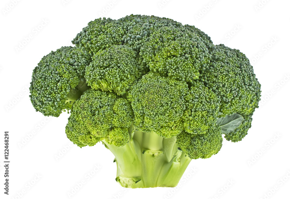 Fresh broccoli isolated on white background Fresh broccoli isolated on white background
