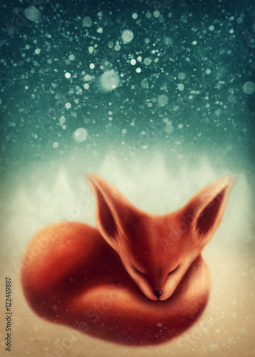 Fototapeta Fox sleeping in winter forest