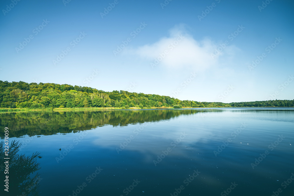 Quiet lake surrounded by a green forest
