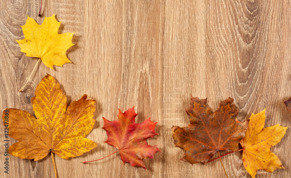 autumn frame from leaves on wood background autumn frame from leaves on wood background