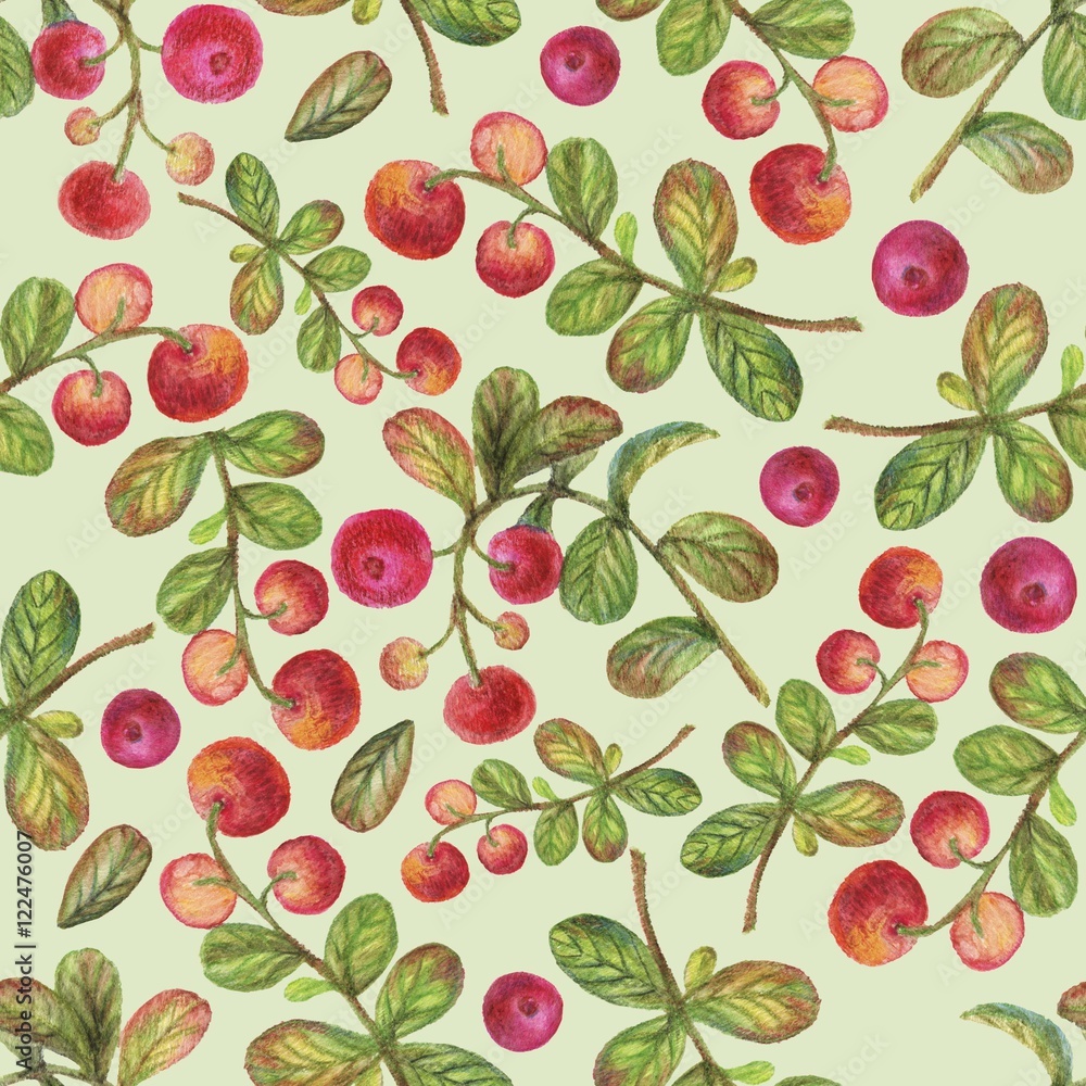 Watercolor pencils mushrooms and berries seamless pattern Watercolor pencils mushrooms and berries seamless pattern