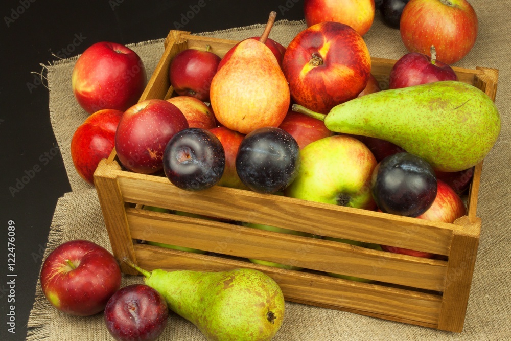 Plum and apples on wooden table. Autumn Fruits. Autumn harvest on the farm. A healthy diet for children.
Plum and apples on wooden table. Autumn Fruits. Autumn harvest on the farm. A healthy diet for children.