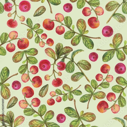 Watercolor pencils mushrooms and berries seamless pattern