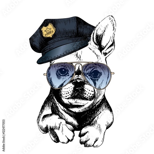 Vector close up portrait of police dog.French bulldog wearing the peak cap and sunglasses.