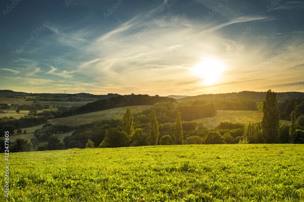 Meadow in the evening sun
