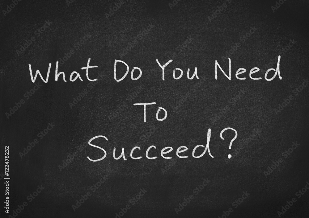 What do you need to succeed? What do you need to succeed?