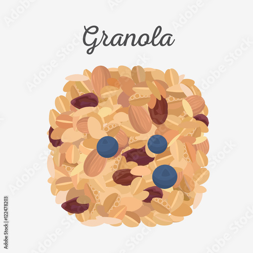 Granola isolated. Flat lay, vector illustration.