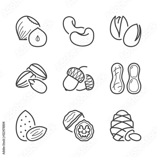 basic nuts thin line icons