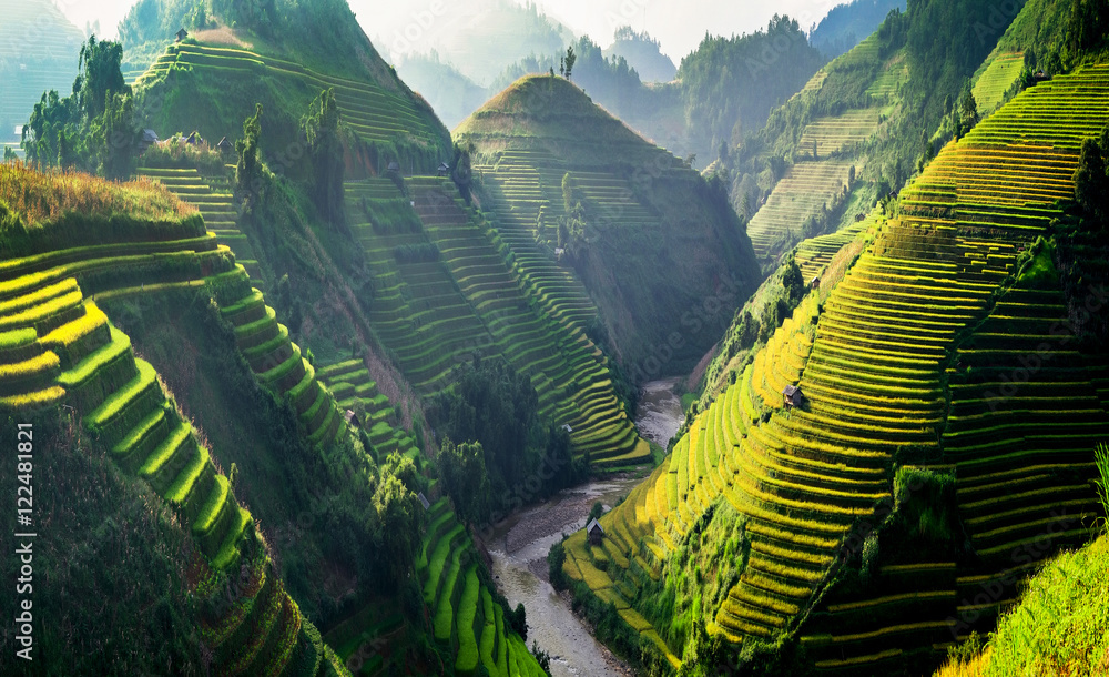 Rice fields on terraced in Northwest of Vietnam. - obrazy, fototapety, plakaty 