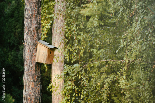 Bird house in the woods