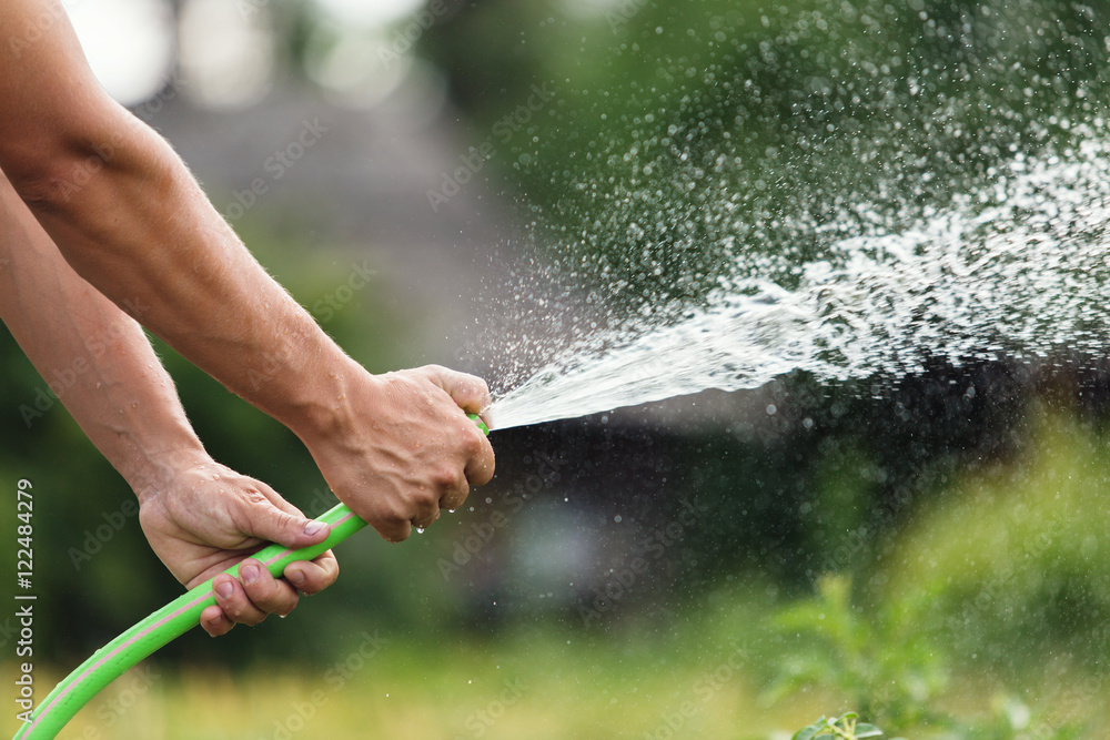 Obraz premium Man watering the garden from hose on sunny day