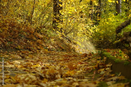 Fototapeta Naklejka Na Ścianę i Meble -  Colorful autumn landscape.Nature background