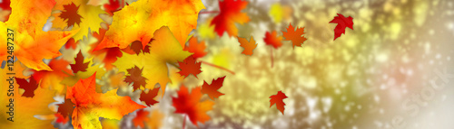 beautiful natural backdrop. autumn leaves and bokeh. banner.
