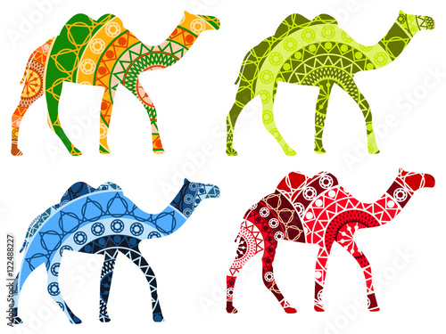 Bactrian camel Indian. Camel with a pattern isolated on white background. Set of vector illustrations.