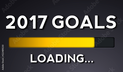 2017 Goals !