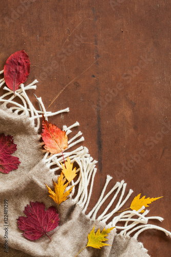 warm wool throw autumn red leaves on wooden background © Olga Miltsova