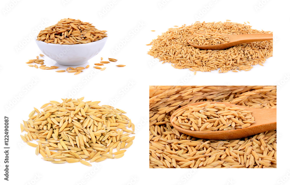 Paddy seeds on white background Paddy seeds on white background