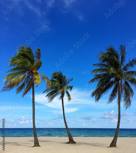 Fototapeta Naklejka Na Ścianę i Meble -  Untouched tropical beach with palms