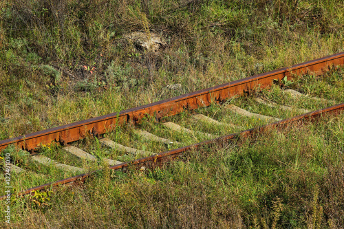 Old rusty railtracks in green grass photo