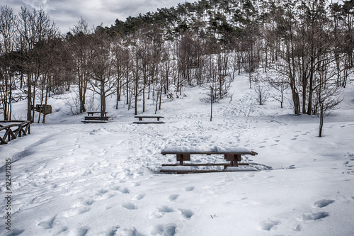 Park benches fence and trees covered by heavy snow