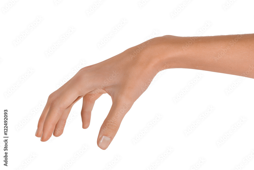 Isolated Empty open woman female hand in a position on a white background