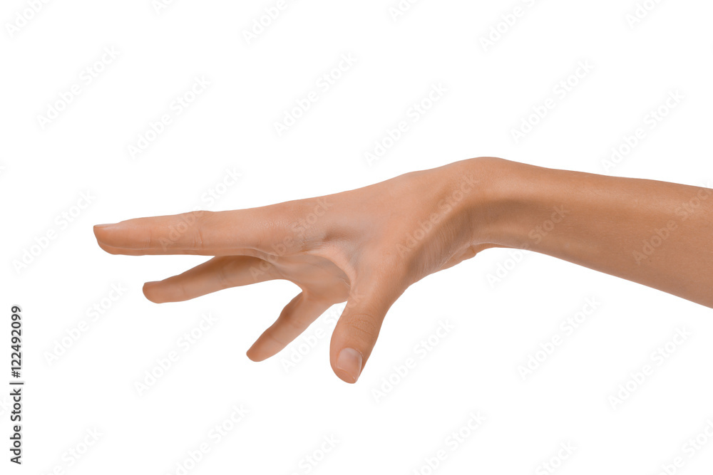 Isolated Empty open woman female hand in a position on a white background Isolated Empty open woman female hand in a position on a white background