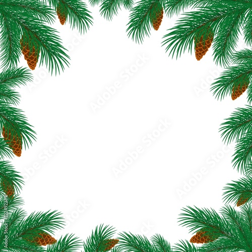 frame with branches of spruce. 