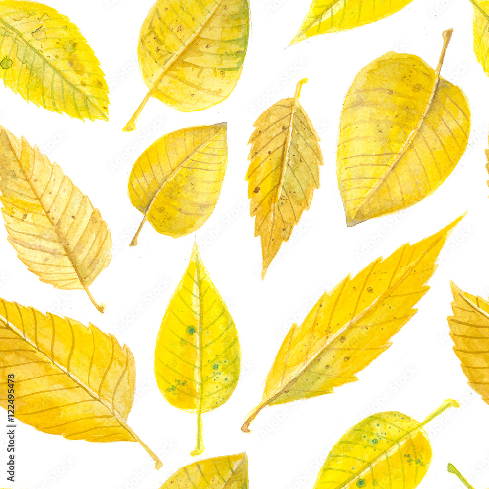 Fototapeta premium Yellow autumn leaves