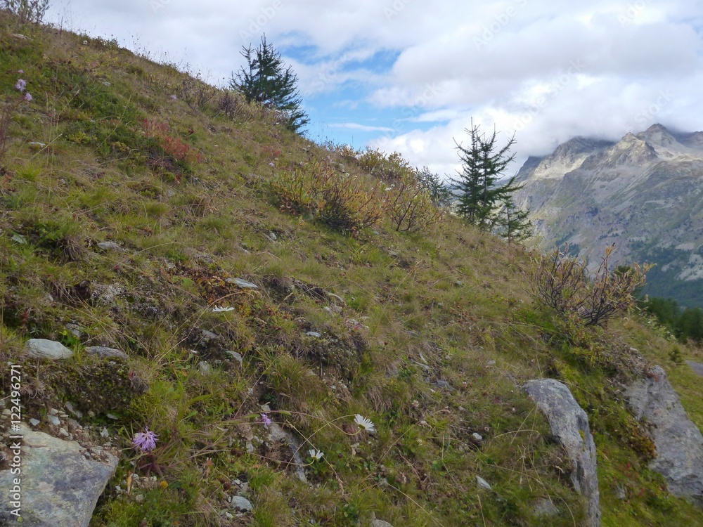 romantic alpine landscape in the autumn romantic alpine landscape in the autumn