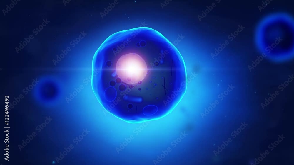 Human cell with nuscleus animation Human cell with nuscleus animation