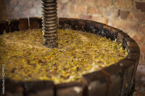 Grape harvest: Wine press with white must and helical screw photo