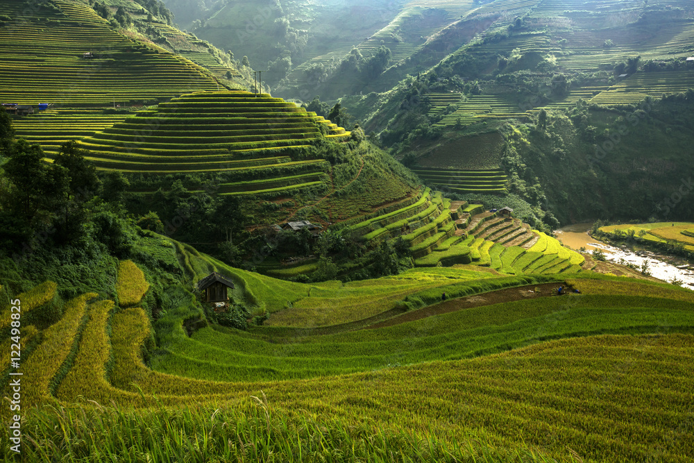 Landscape rice terraces at sunrise Vietnam.