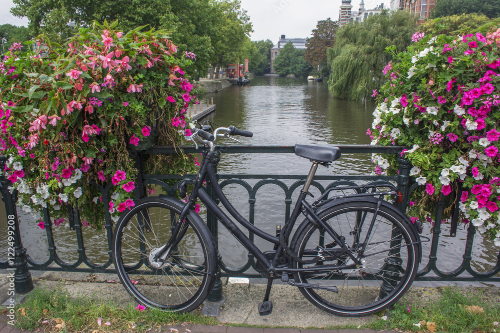 Usual black city bike on the pavement near two flowerbed with pink and white flowers near the river
