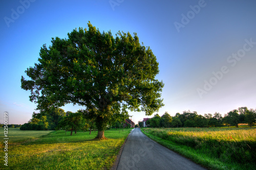 Landstrasse im Sommer