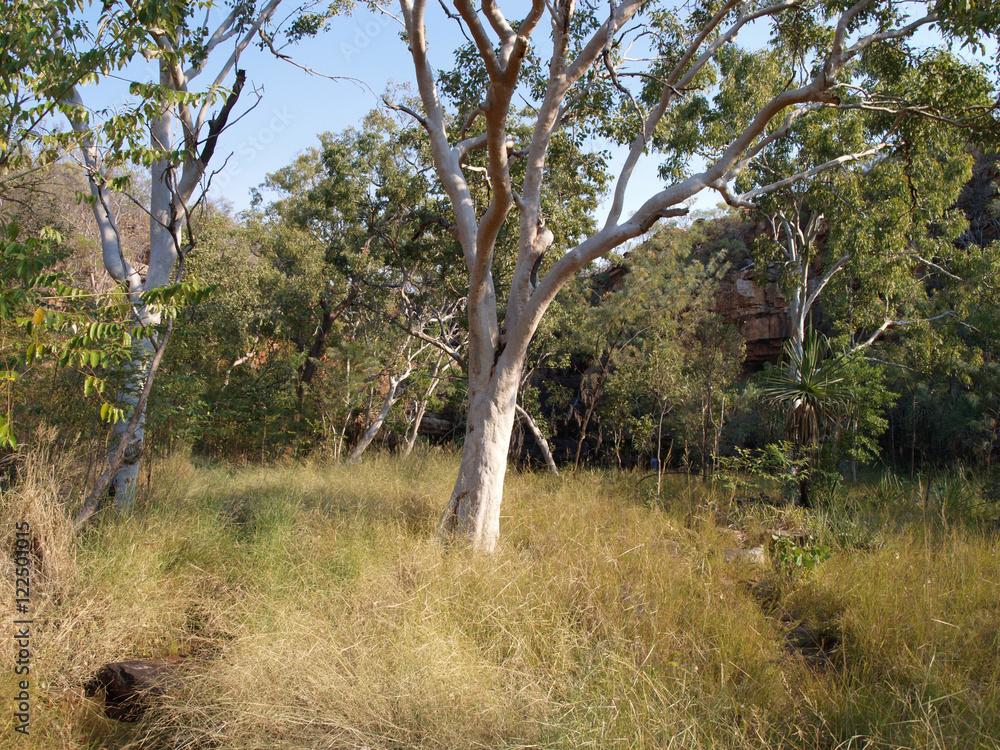 Outback in the Kimberleys, Western Australia Outback in the Kimberleys, Western Australia