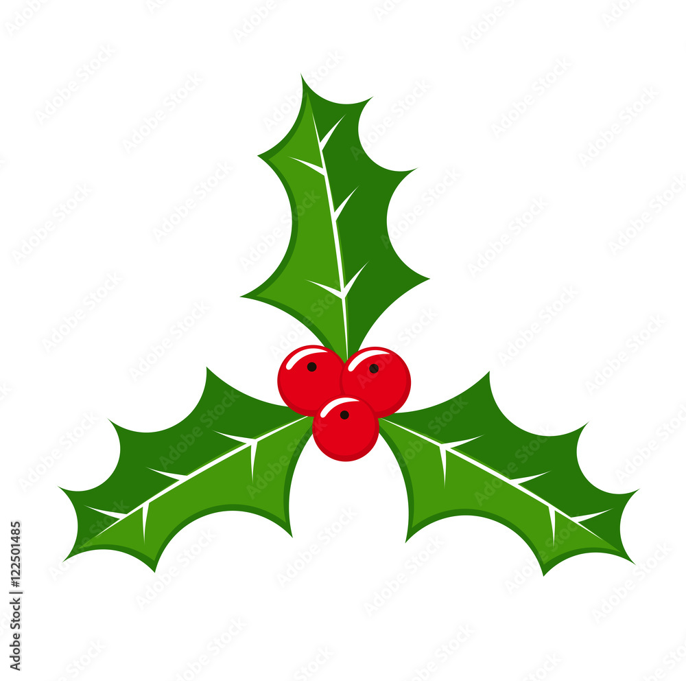 Christmas holly berries Christmas holly berries