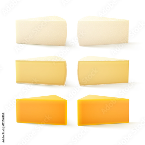 Set of Pieces Swiss Cheese Cheddar Bri Camembert